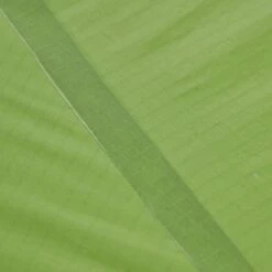 VAUDE LIZARD SEAMLESS 1-2P - Einpersonenzelt -Campingprodukte Geschäft 5637736447 af power lizard seamless 12p cress green vaude 24